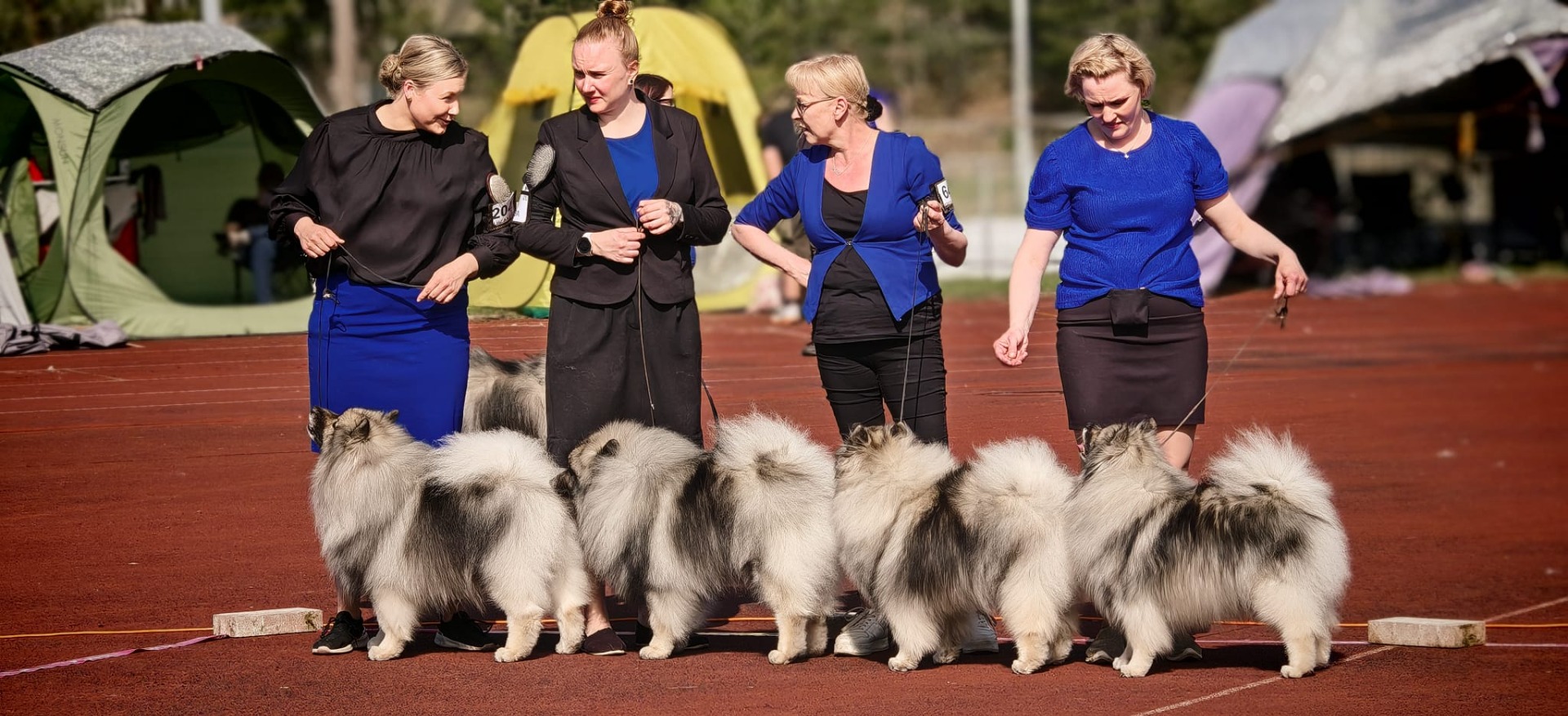 Kennel Ikurin BIS-Kasvattaja (Ikurin Imperator Leonum, Ikurin Magnus Fennicus, Ikurin Harmonia Optima & Ikurin Elatio Regina) (C) Roviophotography