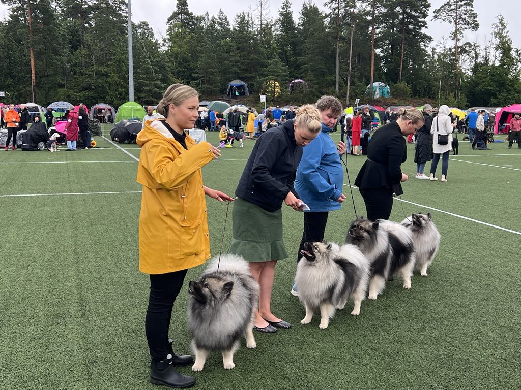 Kennel Ikurin ROP-kasvattaja
