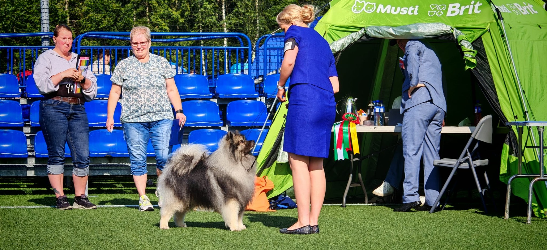 Camillo PU3 ja SERT ja NO MVA (kuva edelliseltä päivältä auringonpaisteesta)