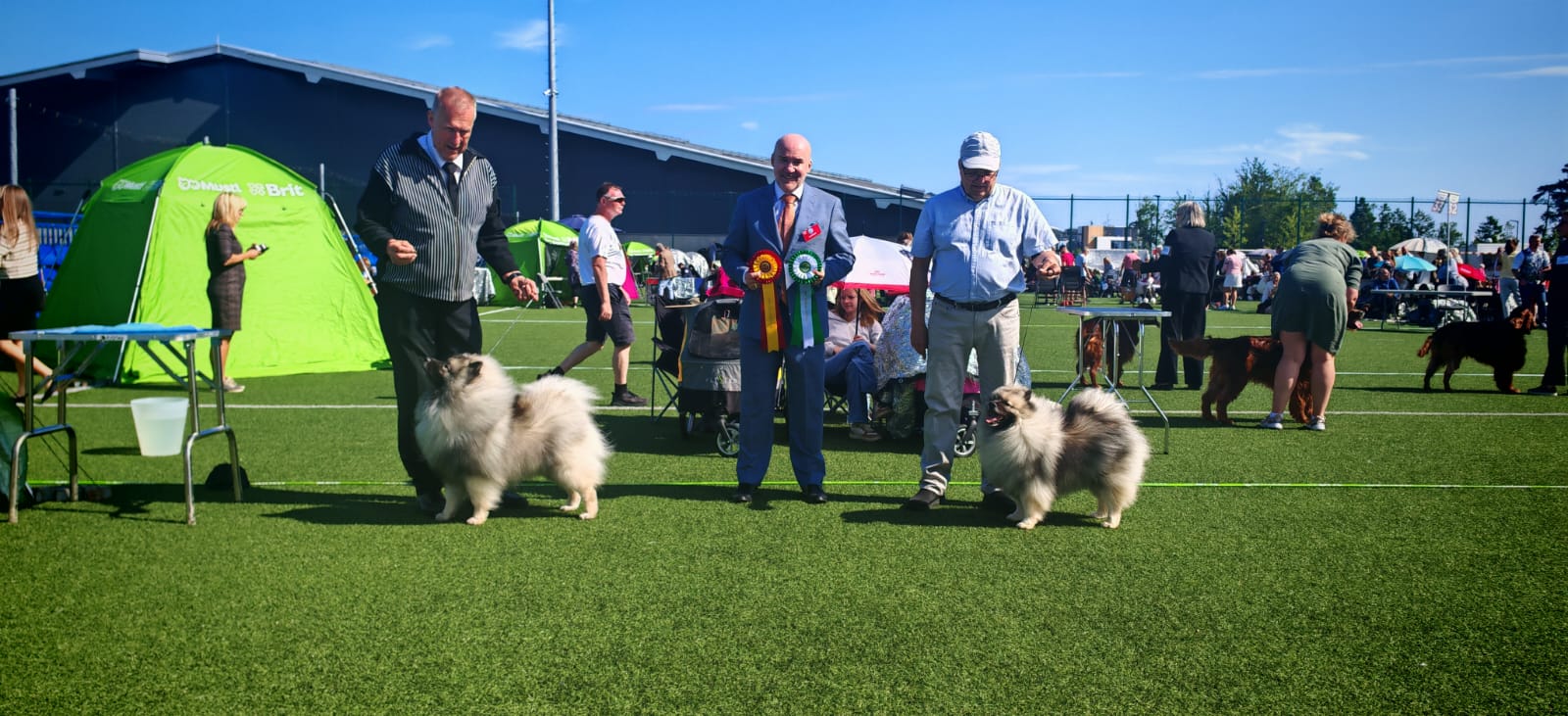 ROP Arctic Kees Limited Edition ja Ikurin Gaudeamus Igitur VSP & Oslo Winner 2025 ja Oslo Veteran Winner 2025 ja NO MVA