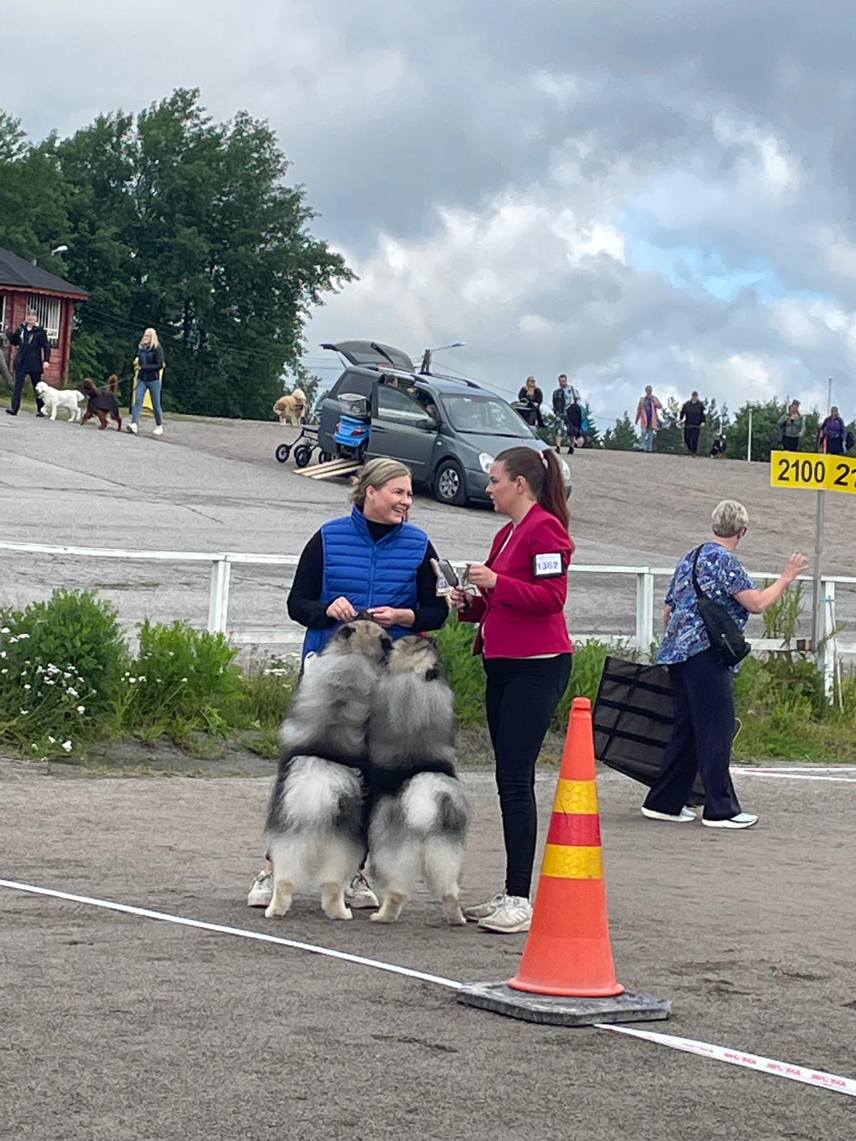Valiourosten kanssa menossa kehään