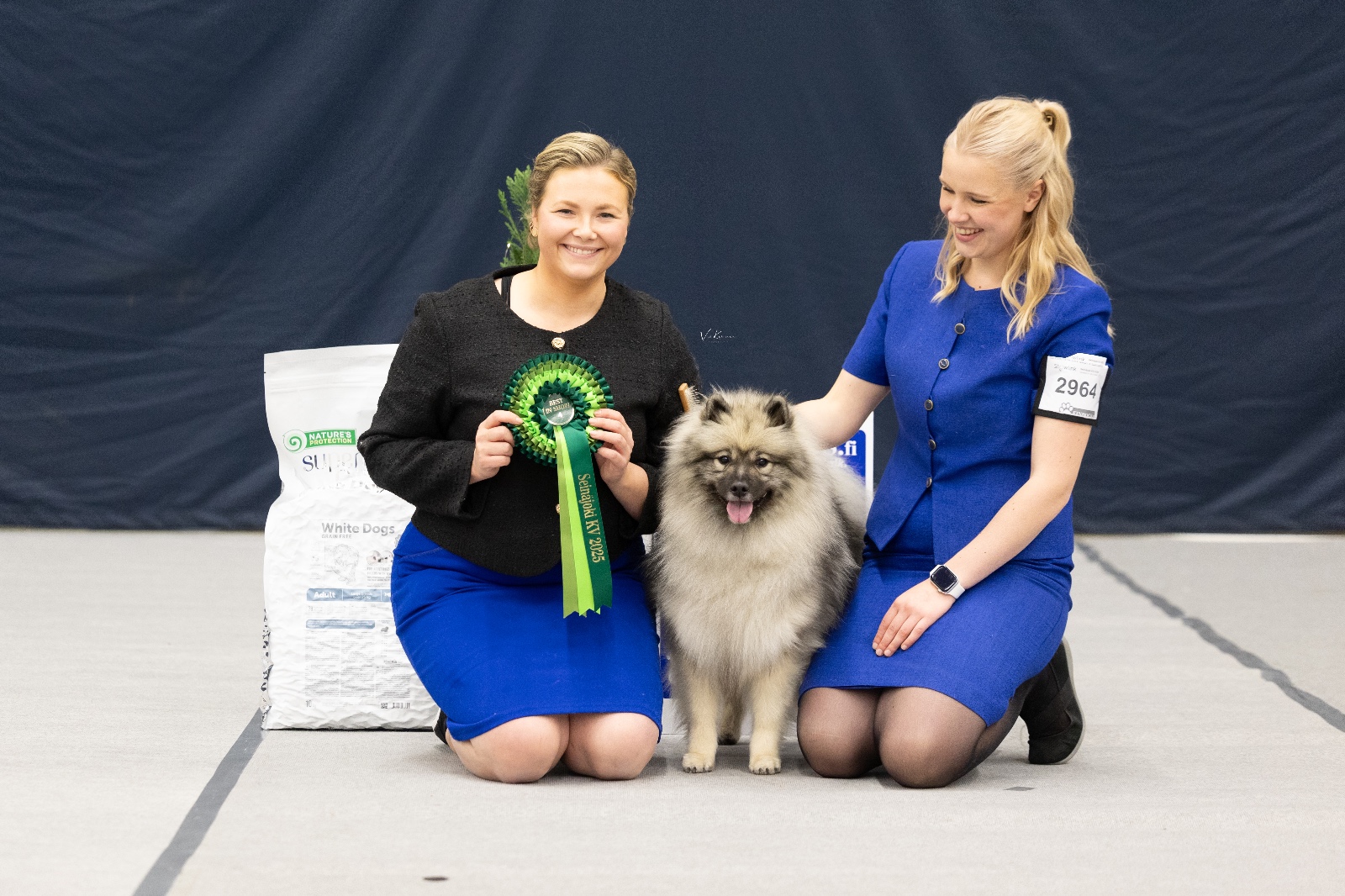 Hertta ja handlerit (C) Viivi Keinonen