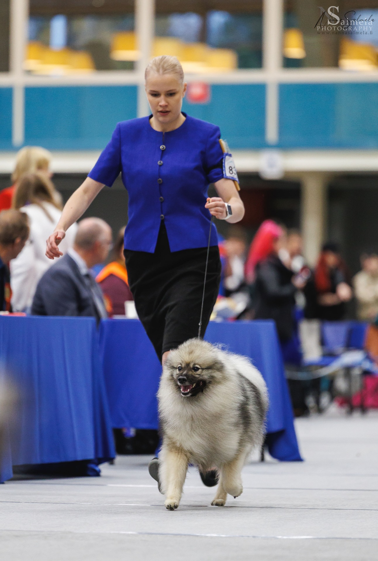 Hertta ja Tilda lennossa ryhmäkehässä (C) Nanna Salmela