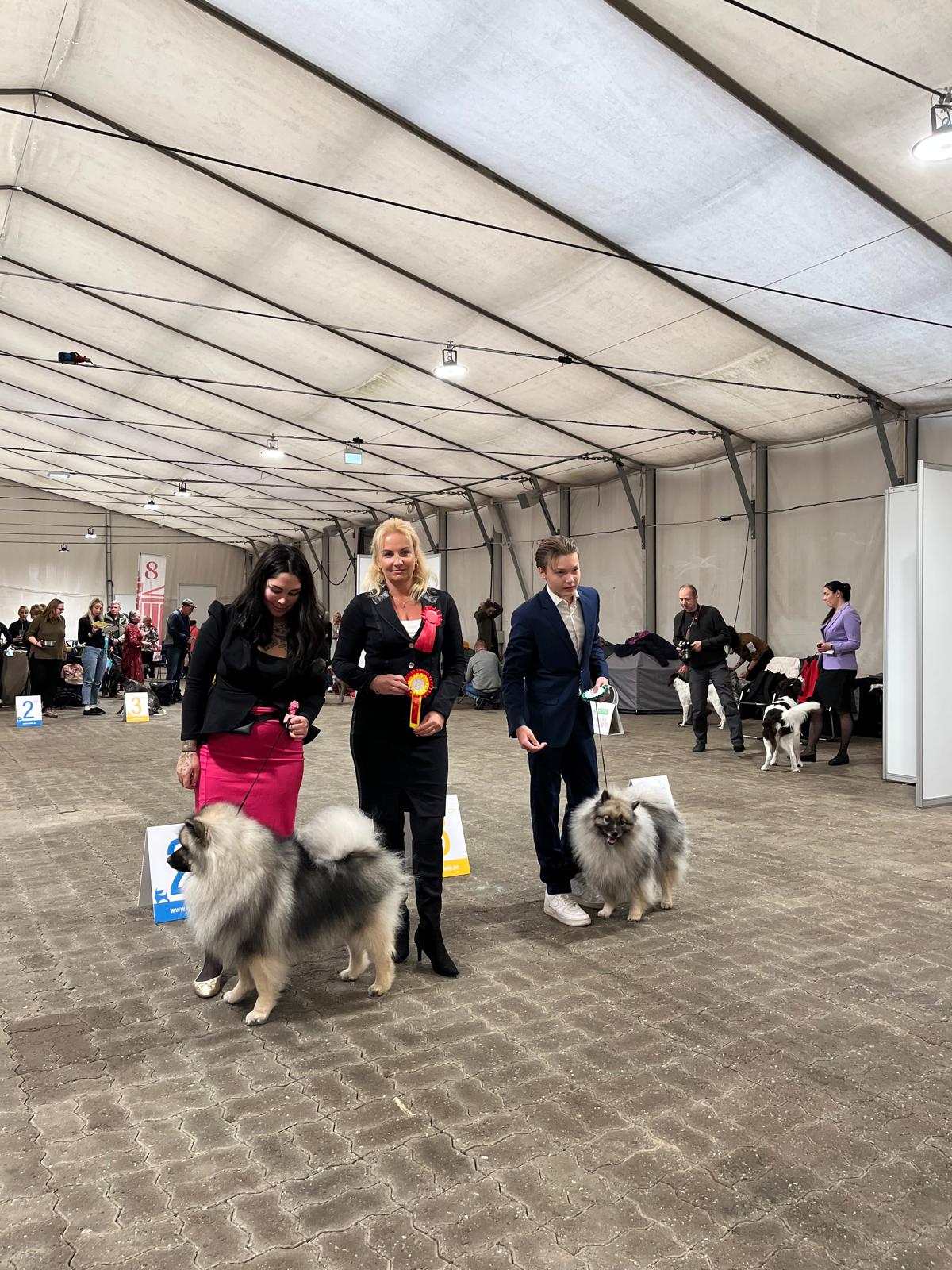 ROP Gold From Great Silvanus & VSP Ikurin Gaudeamus Igitur