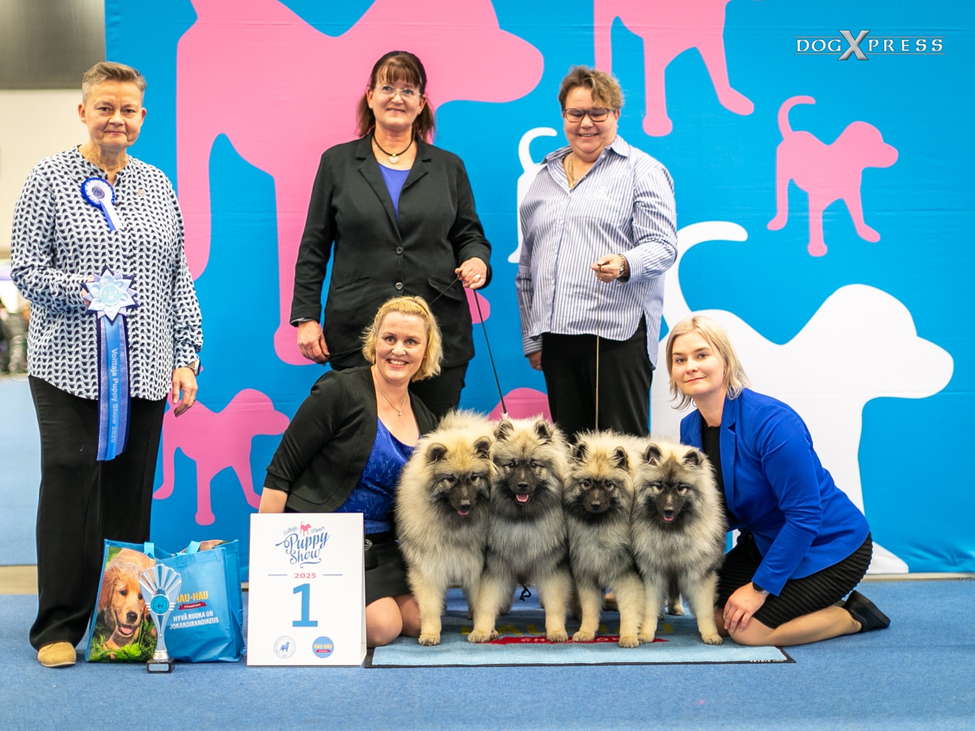 Kennel Ikurin BIS1 ja BIS4 viikonlopun pentunäyttelyissä (C) DogXpress