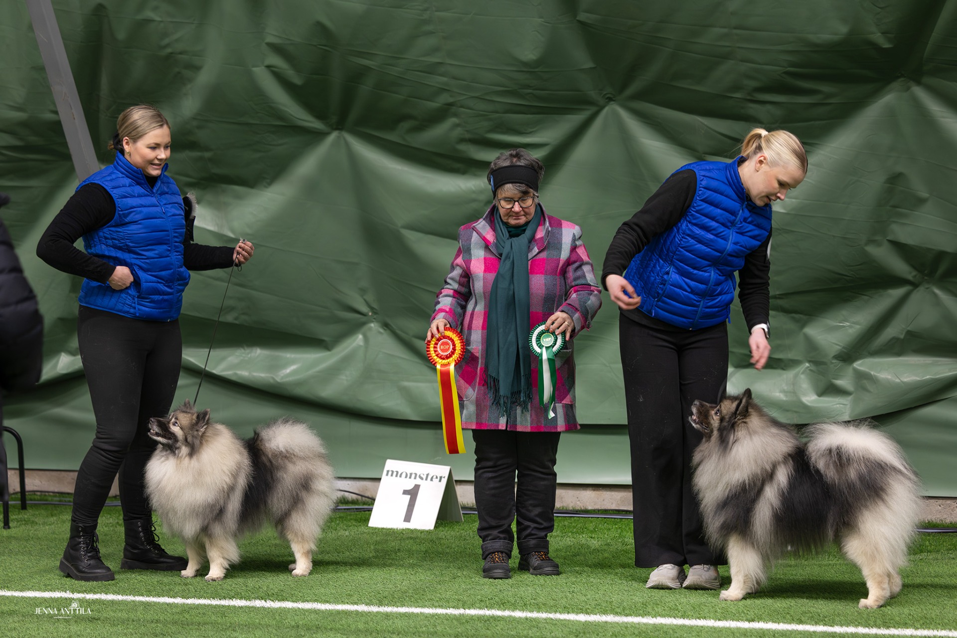 Ikurin Harmonia Optima ROP & Ikurin Juvenis Camillo VSP (C) Jenna Anttila