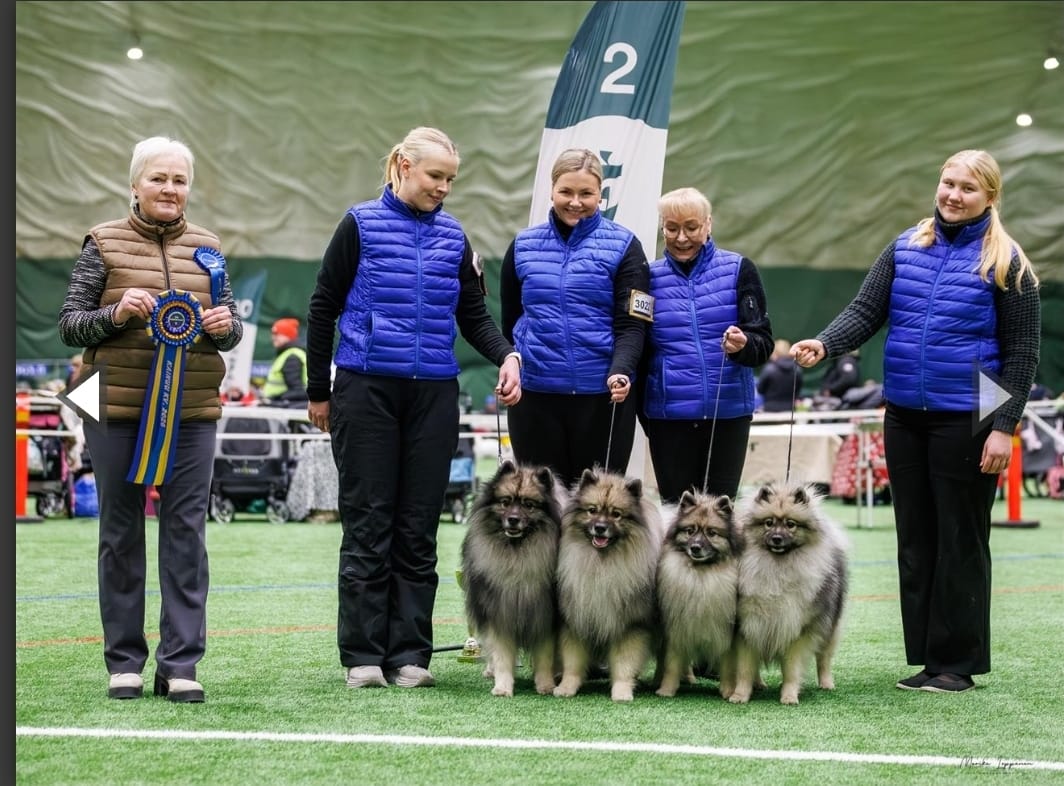 Kennel Ikurin BIS2-kasvattajaryhmä (C) Marika Leppänen