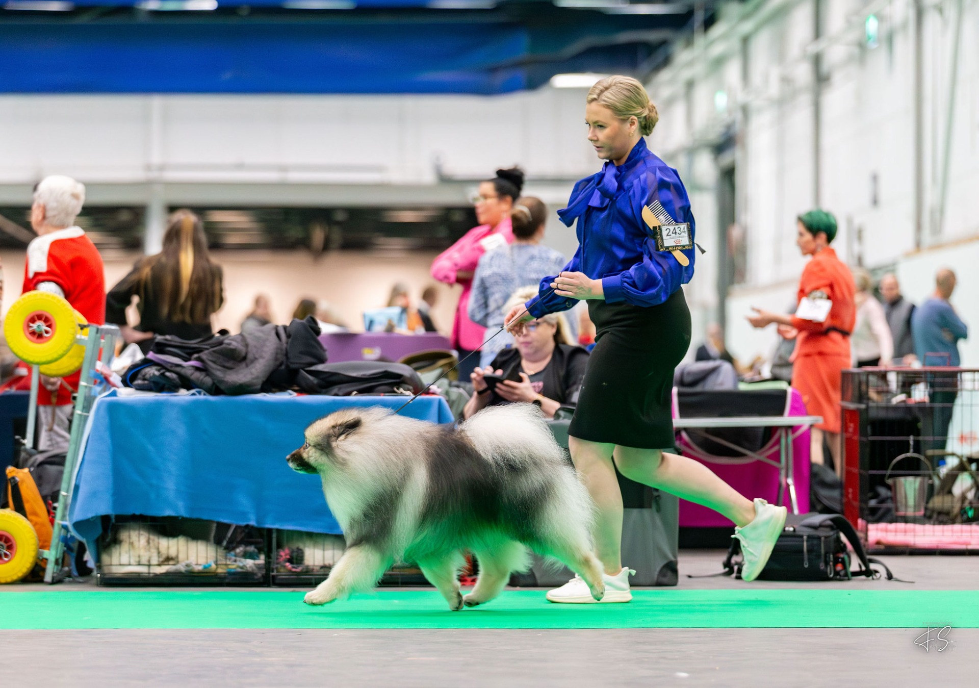 Leo (C) Frida Slotte