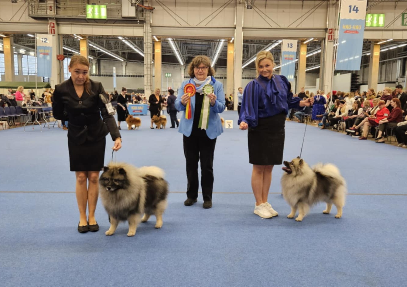 ROP Eerondaali King Of The Ring & VSP Ikurin Oxygenium Et Aqua