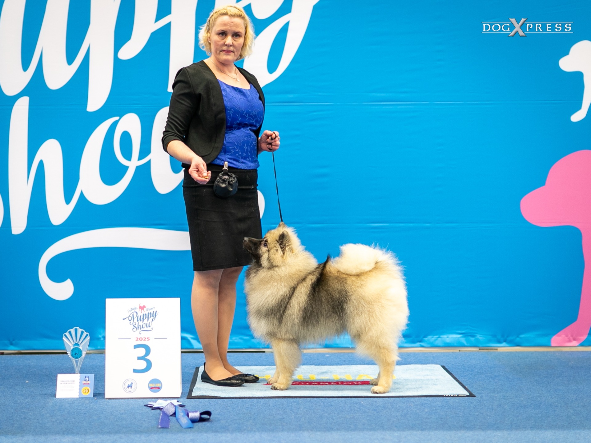 Ikurin Patris Filius RYP3 ja RYP4 viikonlopun pentunäyttelyissä (C) DogXpress