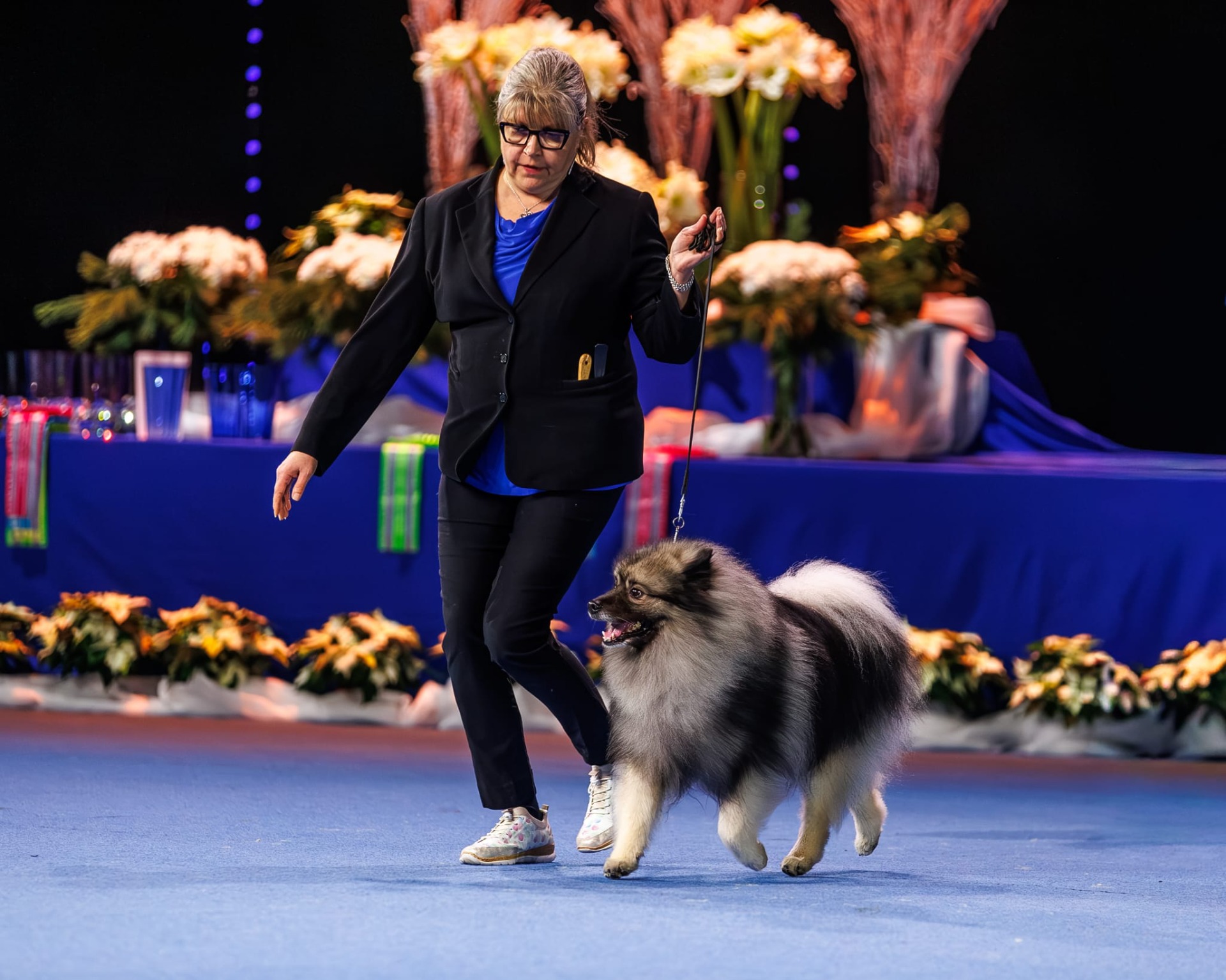 Ikurin Juvenis Camillo ja Katja Voittaja 2025 -näyttelyn ryhmäkehässä (C) Marika Leppänen