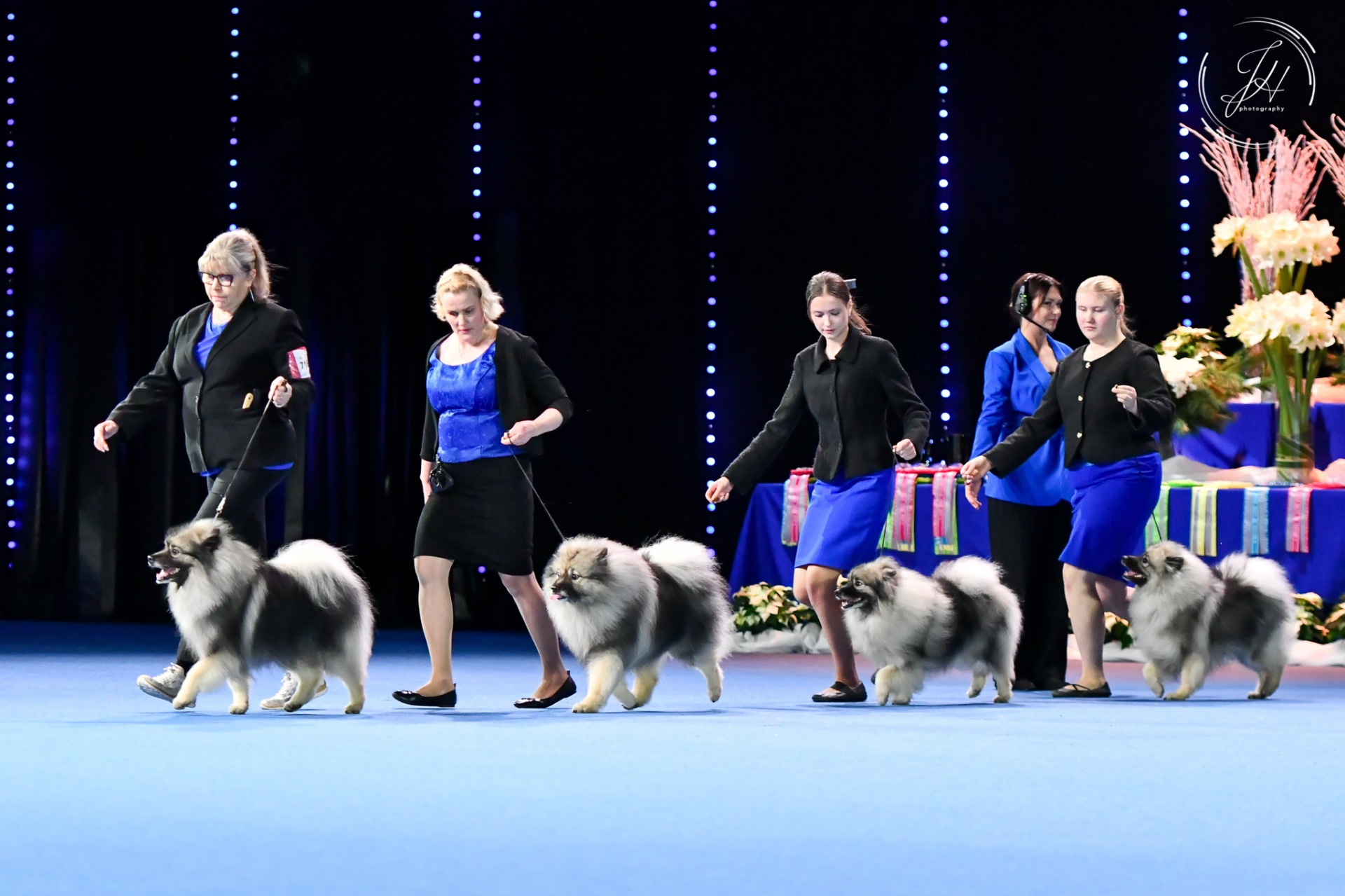 2025 (C) Janina Holmberg