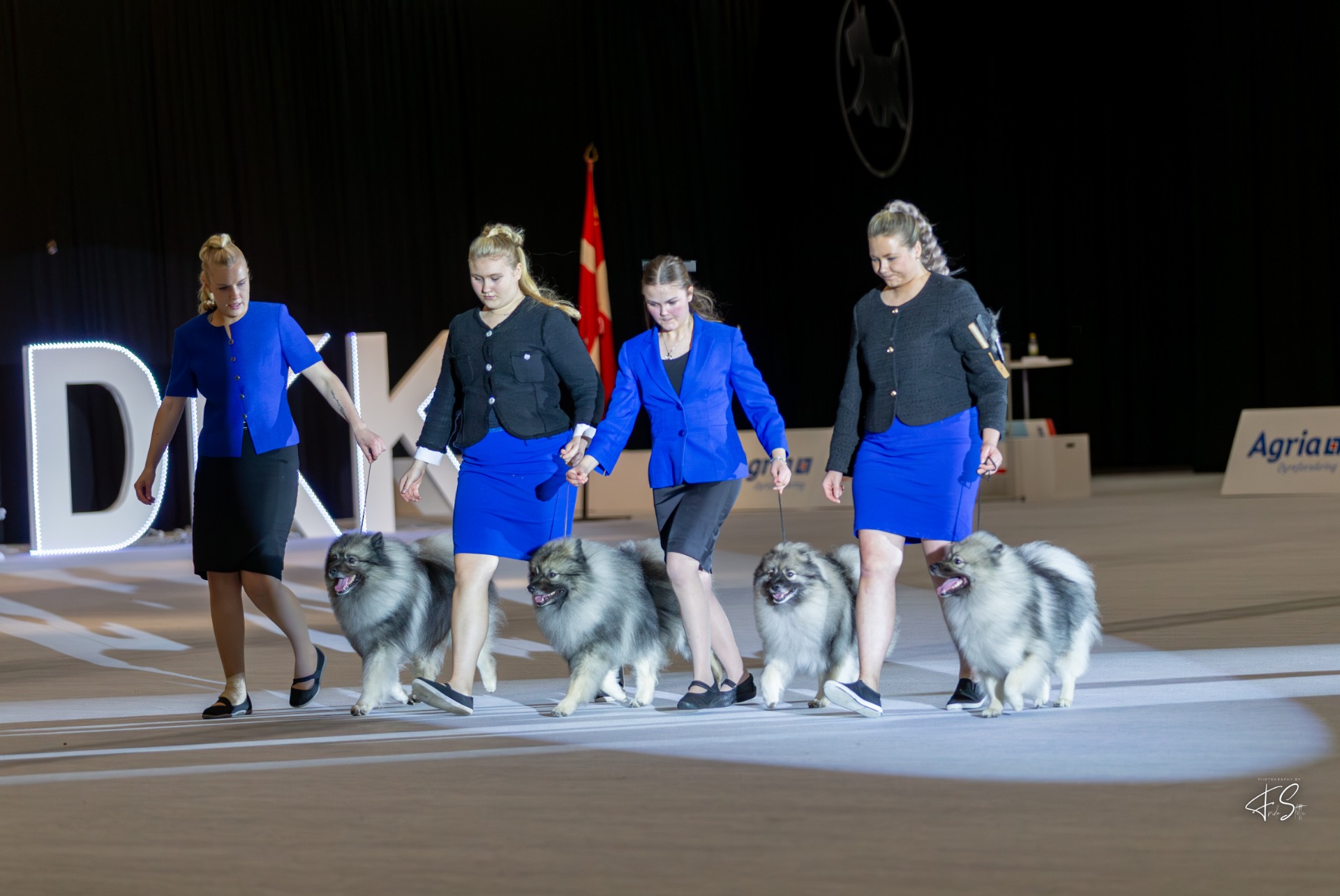 Kennel Ikurin BIS2 Pohjoismaiden Voittaja 2025 -näyttelyssä (C) Frida Slotte