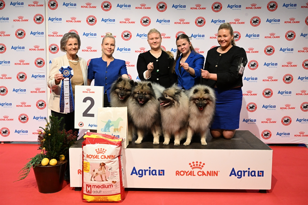 Kennel ikurin BIS2 Pohjoismaiden Voittaja 2025 -näyttelyssä (C) Ridehesten