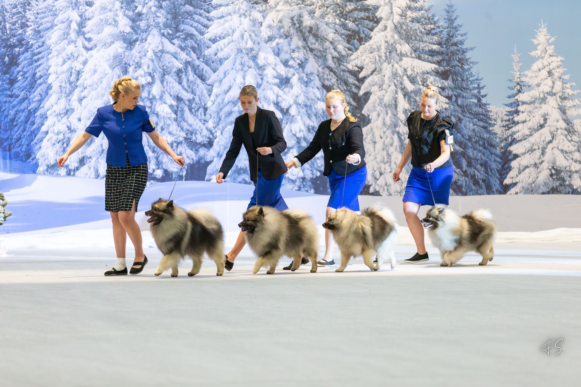 2025 (C) Frida Slotte