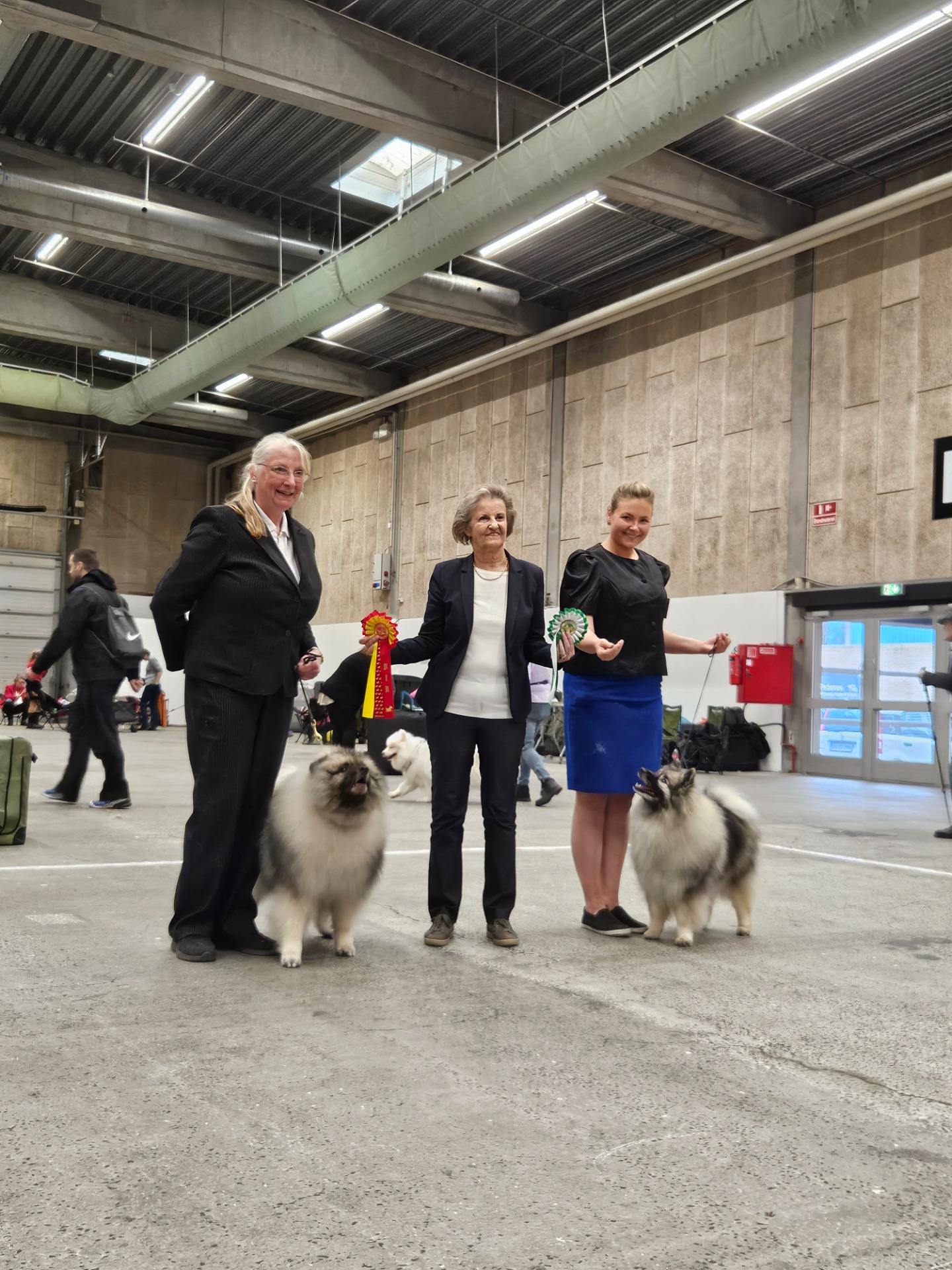 ROP Venway How Deep Is Your Love & VSP Ikurin Harmonia Optima