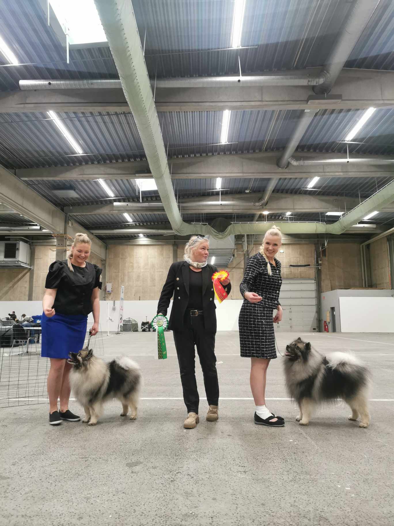 ROP Ikurin Juvenis Camillo & VSP Ikurin Harmonia Optima