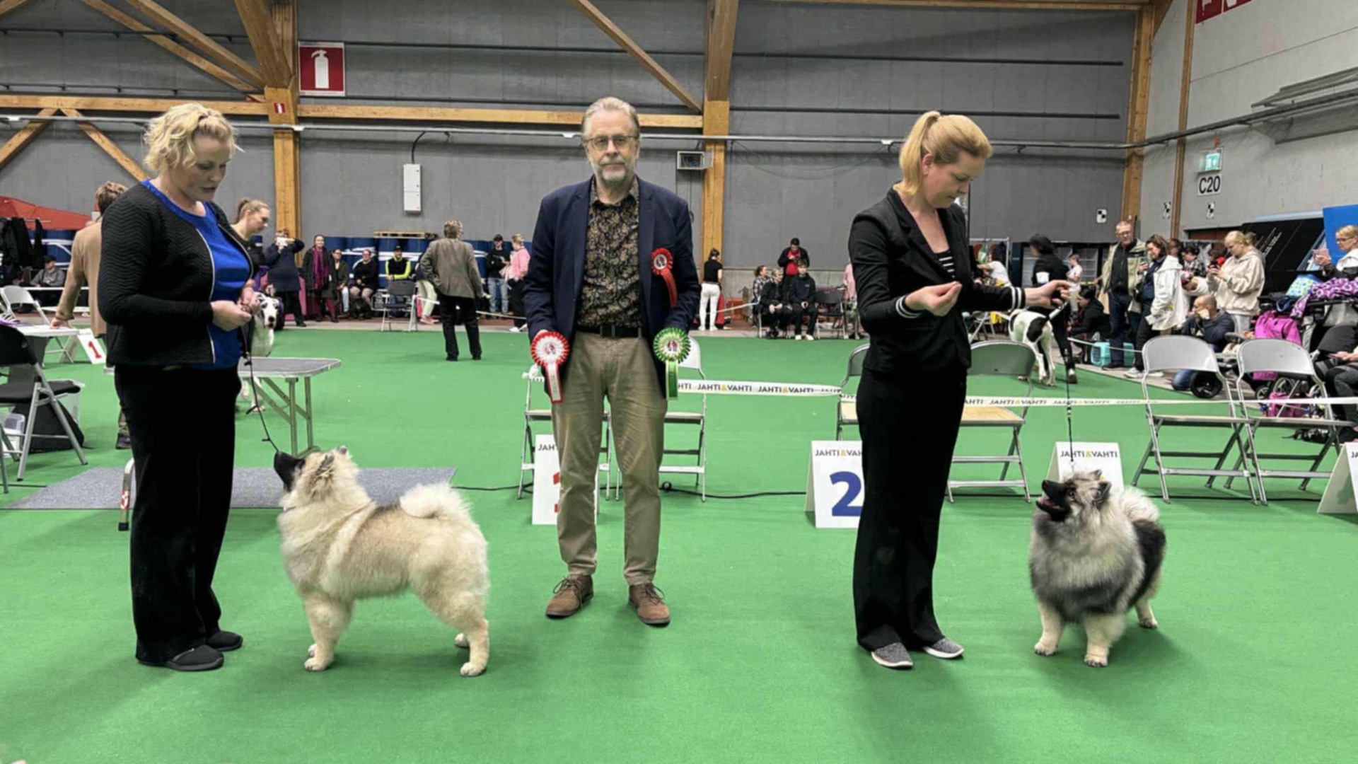 ROP Ikurin Patris Filius & VSP Silvertale's Perfect Storm