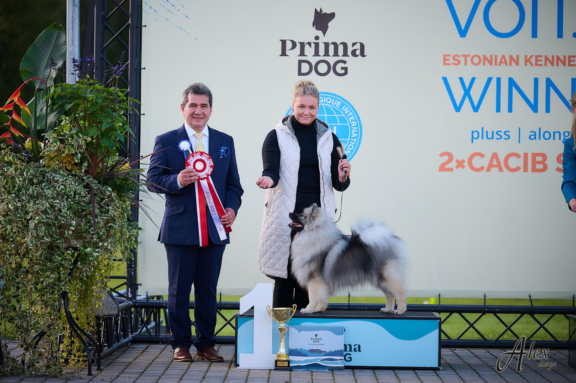 Hertta BIS-Juniori (C) AlexDesign