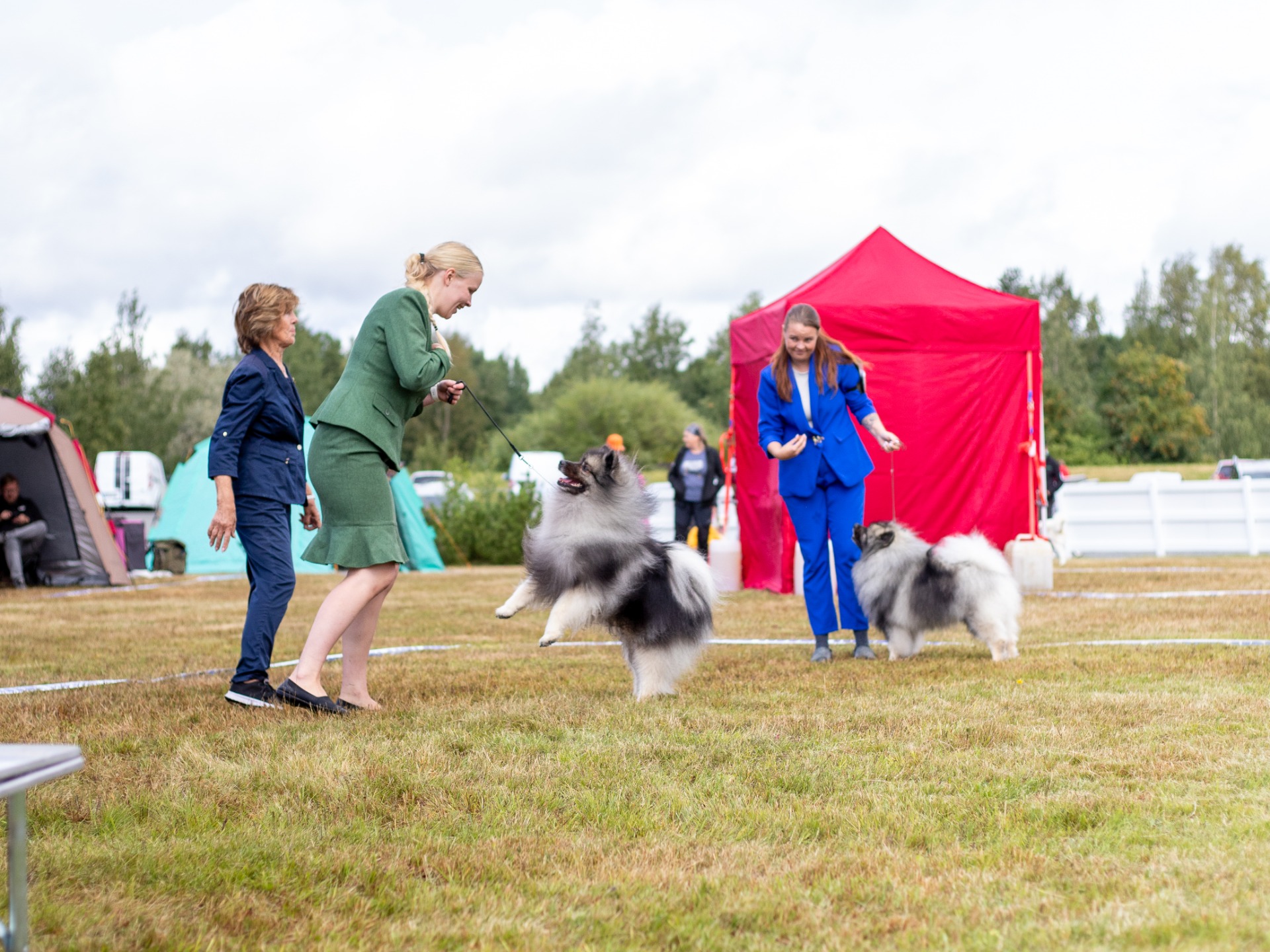 Camillo ja Finn handlereidensa Tildan ja Viivin kanssa pitämässä hauskaa! (CI Jenna Kostamo