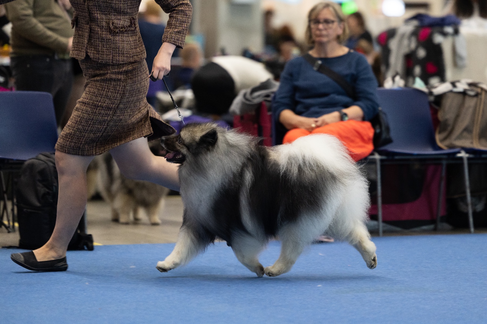 Maailman Voittaja 2025 | Camillo ja Tilda (C) Viivi Keinonen