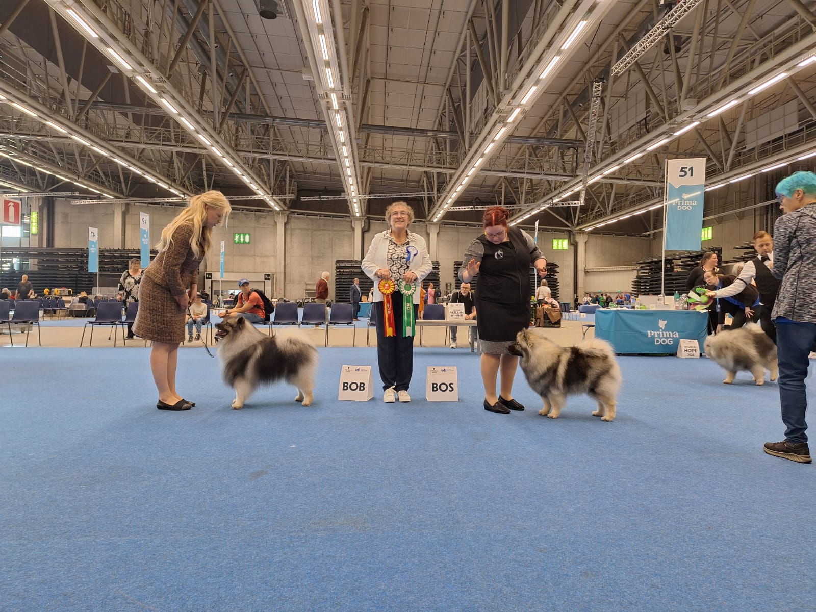 Maailman Voittaja 2025 -näyttelyn ROP Ikurin Juvenis Camillo ja VSP Eerondaali Frozen