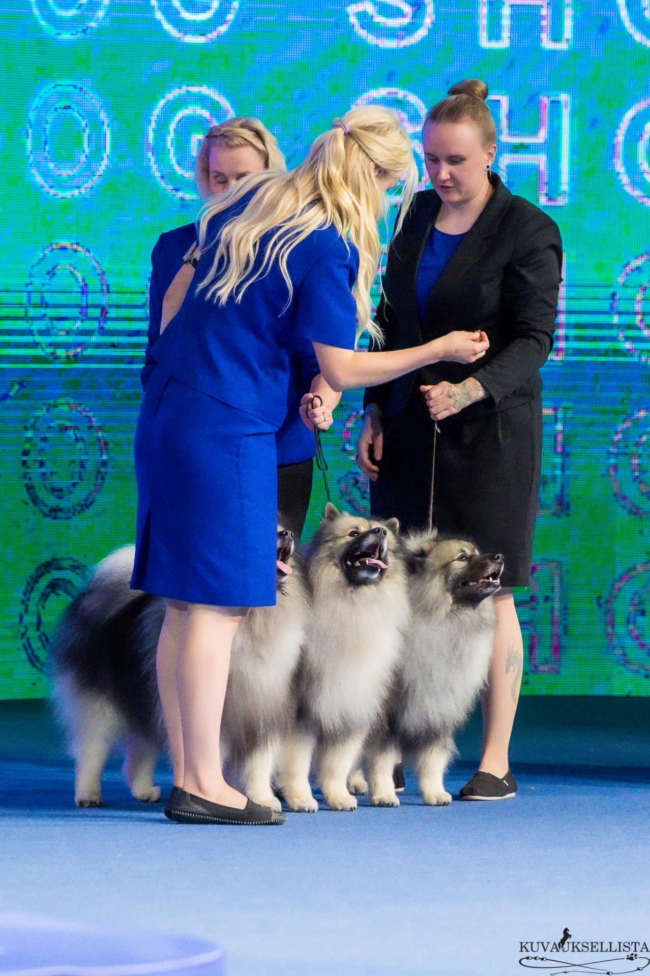 Kasvattajaryhmä BIS-kehässä (C) Kuvauksellista