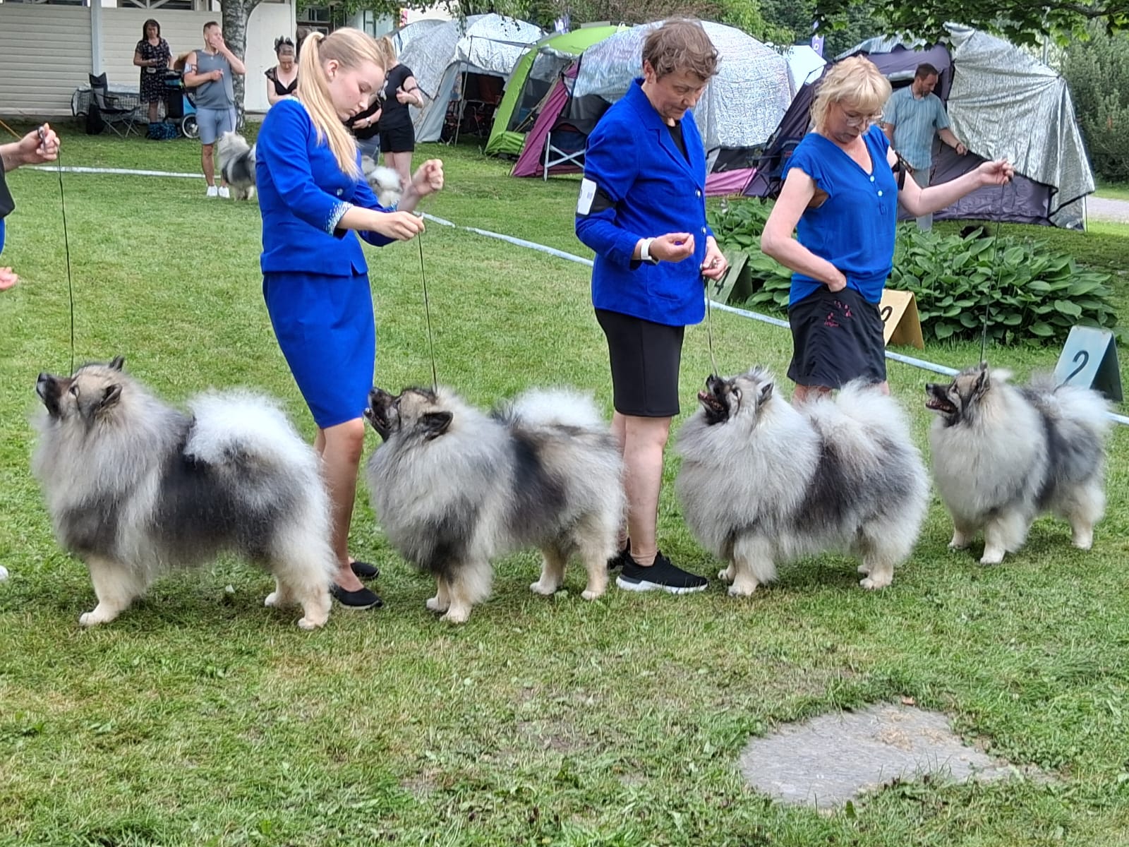 Kasvattajaryhmässä Leo, Finn, Daisy ja Lulu
