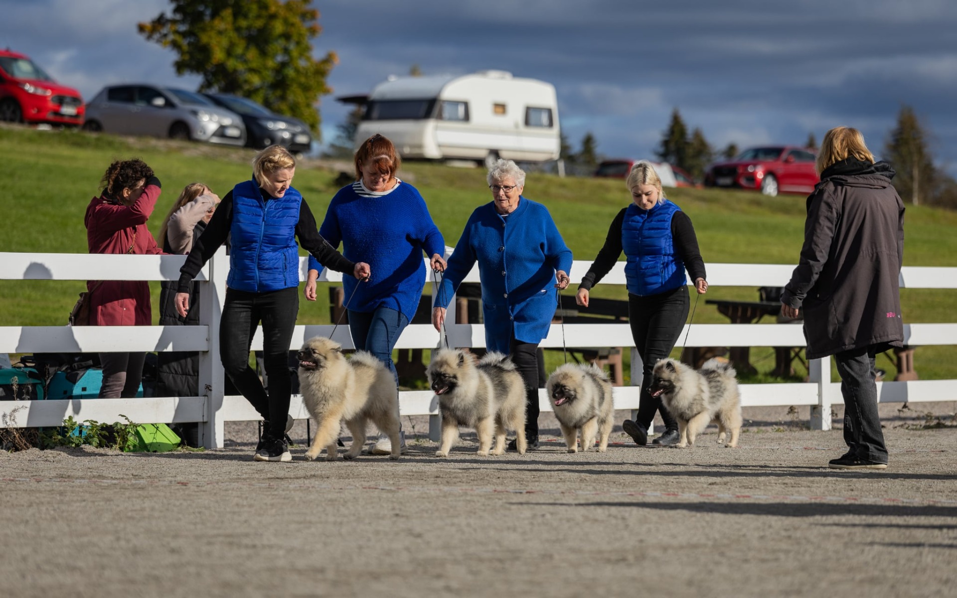 Kennel Ikurin BIS1-kasvattajaryhmä (C) Leevi Tarjanne