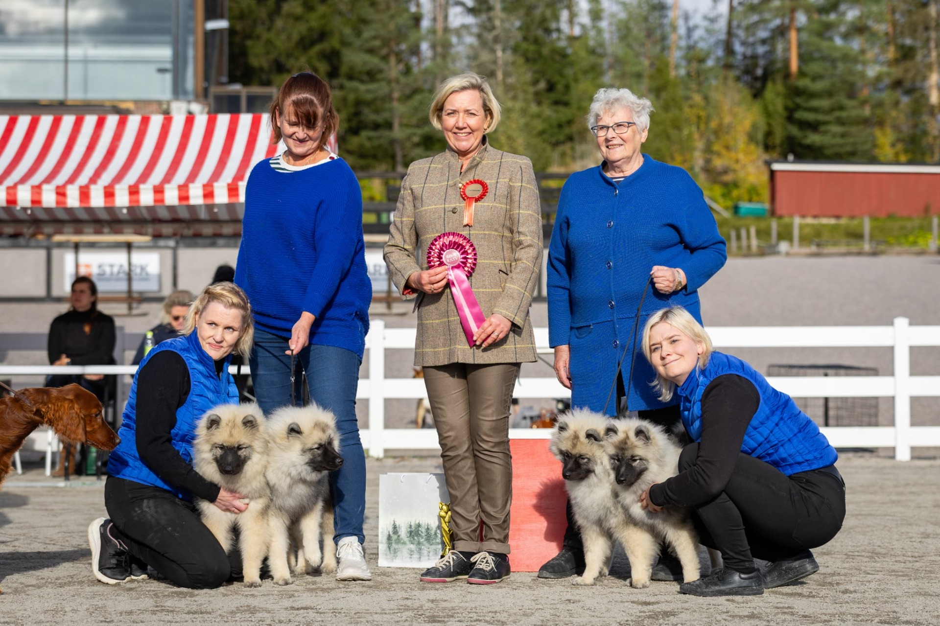 Kennel Ikurin BIS1 (C) Leevi Tarjanne