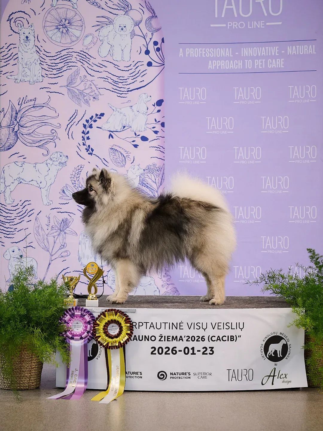 Ikurin Post Hiems (C) AlexDesign