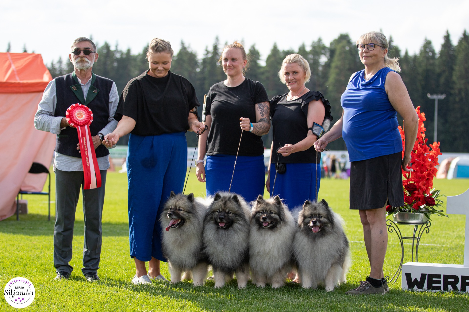 2024 (C) Mirka Siljander